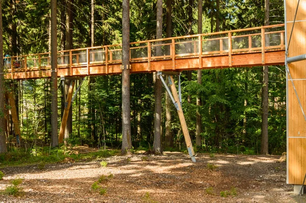 Stezka Korunami Stromu, un puente de madera colgado entre los árboles . — Foto de Stock