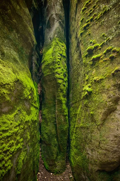 Un gol de rocă, roci de gresie supraaglomerate cu mușchi verde . — Fotografie, imagine de stoc