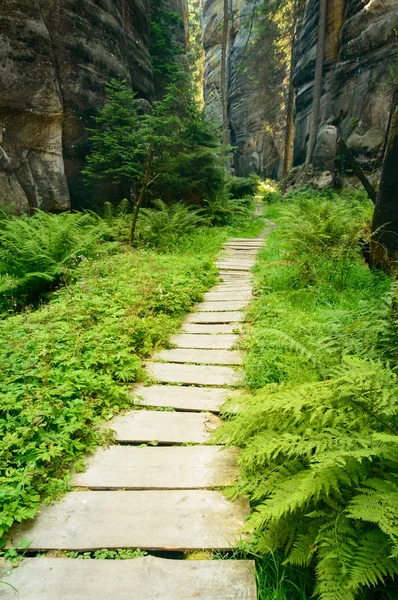 Adrspach Rock City, o cale de lemn în pădure între stânci înalte . — Fotografie, imagine de stoc