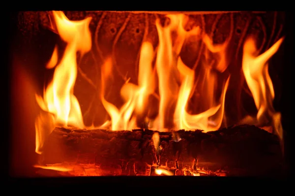 Brûler des bûches de bois dans une cheminée . — Photo