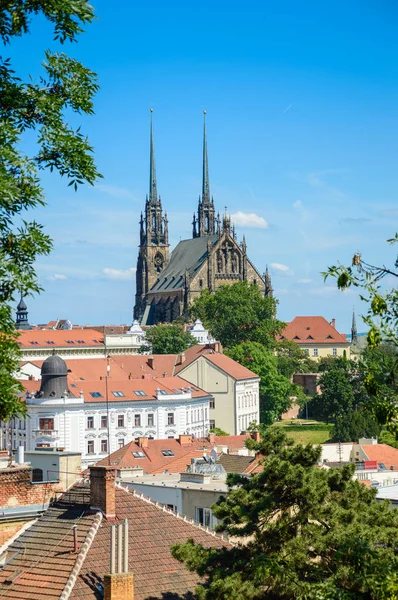 Widok na katedrę Św Pawła i Piotra z boku zamku Spilberk. — Zdjęcie stockowe