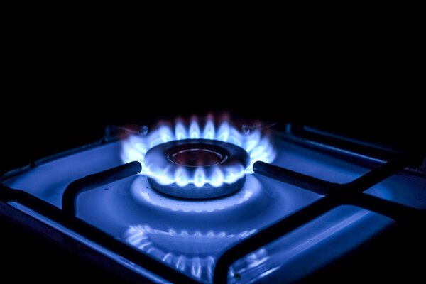 Blue flame from a burner in a gas stove on. Illuminated flame on a dark background, photo taken at night. A slight reflection in the white casing of the gas stove.