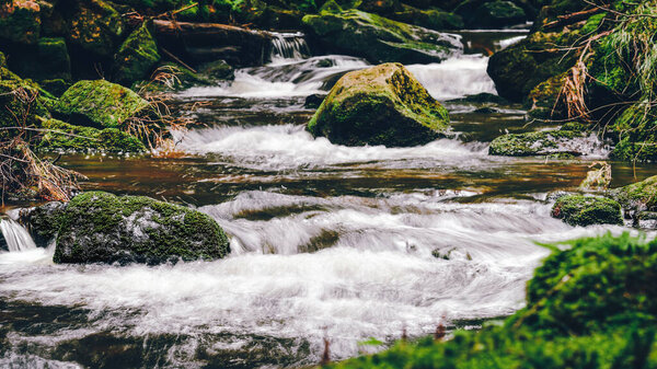 Mountain river, cold rushing water flows between green rocks. The stones are covered with green vegetation.