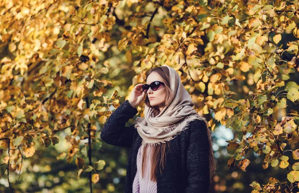 portrait of a rich lady in a scarf and sunglasses in the autumn park