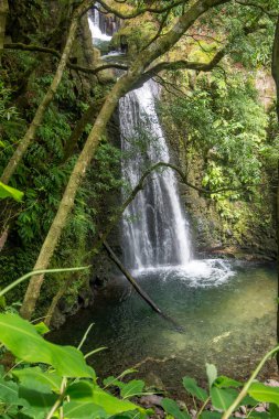 Sao Miguel, Azores, Portekiz 'deki Prego Salto Şelalesi' ni keşfedin..