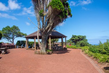 Azores takımadalarında yürüyün. Azores, Sao Miguel adasının keşfi. Portekiz