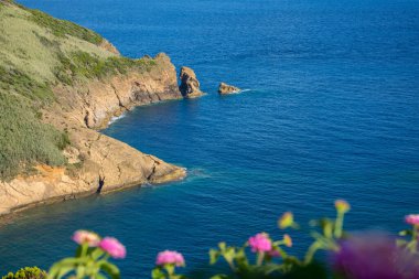 Azores takımadalarında yürüyün. Faial Adası 'nın keşfi, Azores. Portekiz, Horta