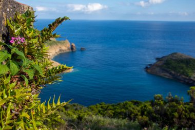 Azores takımadalarında yürüyün. Faial Adası 'nın keşfi, Azores. Portekiz, Horta