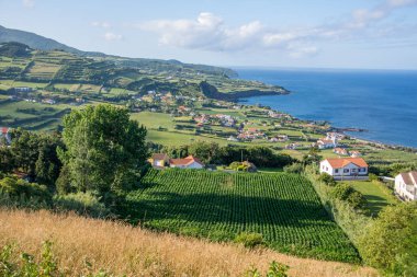 Azores takımadalarında yürüyün. Faial Adası 'nın keşfi, Azores. Portekiz, Horta