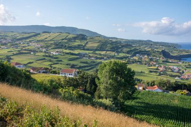 Azores takımadalarında yürüyün. Faial Adası 'nın keşfi, Azores. Portekiz, Horta