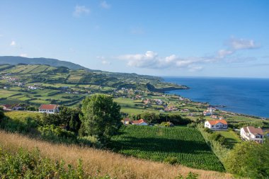 Azores takımadalarında yürüyün. Faial Adası 'nın keşfi, Azores. Portekiz, Horta