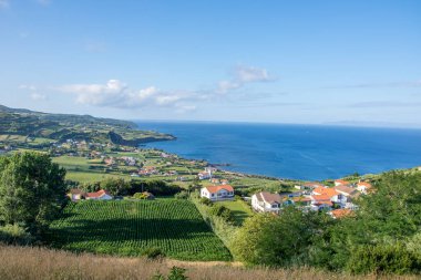 Azores takımadalarında yürüyün. Faial Adası 'nın keşfi, Azores. Portekiz, Horta