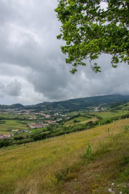 Azores takımadalarında yürüyün. Faial Adası 'nın keşfi, Azores. Portekiz, Horta
