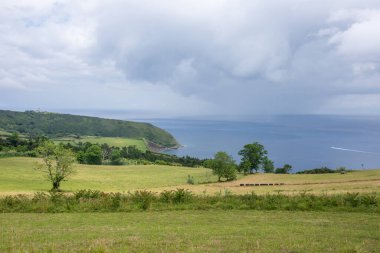Azores takımadalarında yürüyün. Faial Adası 'nın keşfi, Azores. Portekiz, Horta