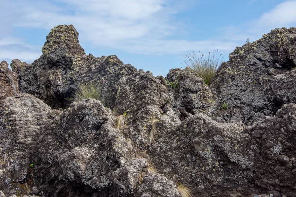 Spaziergang Auf Dem Azoren Archipel Entdeckung Der Insel Faial Azoren — Stockfoto