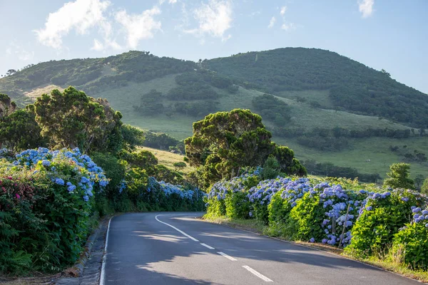 Azores takımadalarında yürüyün. Pico adasının keşfi, Azores. Portekiz. Madalena