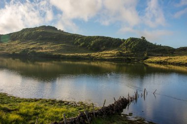 Azores takımadalarında yürüyün. Pico adasının keşfi, Azores. Portekiz. Madalena