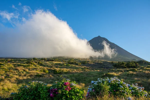 Azores takımadalarında yürüyün. Pico adasının keşfi, Azores. Portekiz. Madalena