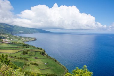 Azores takımadalarında yürüyün. Pico adasının keşfi, Azores. Portekiz. Madalena