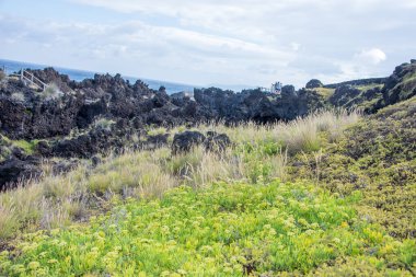 Azores takımadalarında yürüyün. Pico adasının keşfi, Azores. Portekiz. Madalena