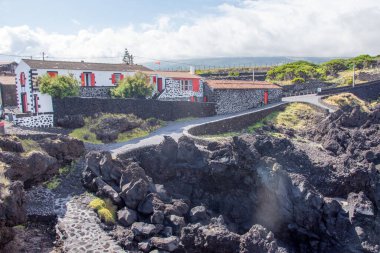 Azores takımadalarında yürüyün. Pico adasının keşfi, Azores. Portekiz. Madalena