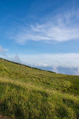 Azores takımadalarında yürüyün. Azores, Sao Jorge adasının keşfi. Portekiz, Velas