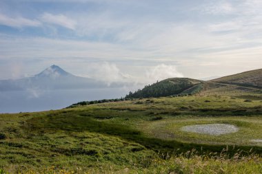 Azores takımadalarında yürüyün. Azores, Sao Jorge adasının keşfi. Portekiz, Velas