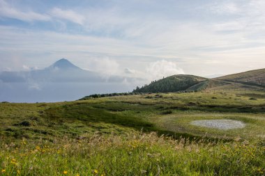 Azores takımadalarında yürüyün. Azores, Sao Jorge adasının keşfi. Portekiz, Velas