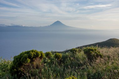 Azores takımadalarında yürüyün. Azores, Sao Jorge adasının keşfi. Portekiz, Velas