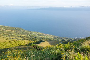 Azores takımadalarında yürüyün. Azores, Sao Jorge adasının keşfi. Portekiz, Velas