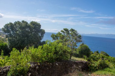 Azores takımadalarında yürüyün. Azores, Sao Jorge adasının keşfi. Portekiz, Velas