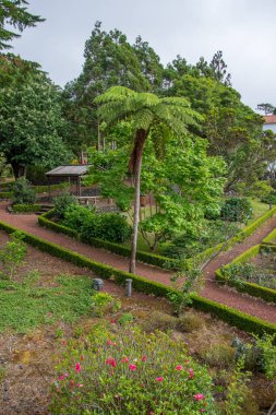 Azores takımadalarında yürüyün. Pico adasının keşfi, Azores. Portekiz. Madalena