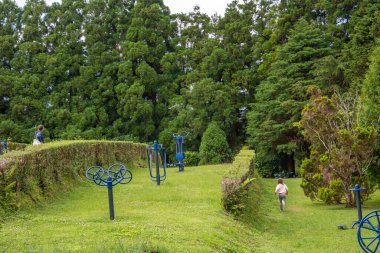 Azores takımadalarında yürüyün. Azores, Sao Jorge adasının keşfi. Portekiz, Velas