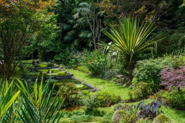 Azores takımadalarında yürüyün. Azores, Sao Miguel adasının keşfi. Portekiz. Fırınlar