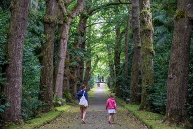 Azores takımadalarında yürüyün. Azores, Sao Miguel adasının keşfi. Portekiz. Fırınlar
