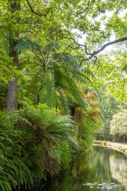 Azores takımadalarında yürüyün. Azores, Sao Miguel adasının keşfi. Portekiz. Fırınlar