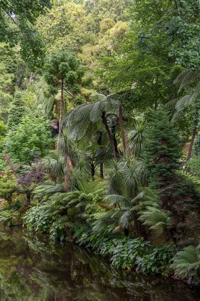 Promenade Sur Archipel Des Açores Découverte Île Sao Miguel Açores — Photo