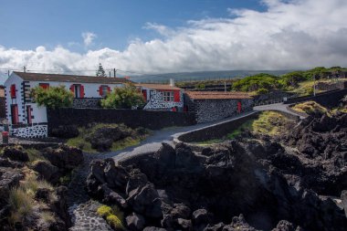 Azores takımadalarında yürüyün. Pico adasının keşfi, Azores. Portekiz. Madalena