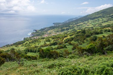 Azores takımadalarında yürüyün. Azores, Sao Jorge adasının keşfi. Portekiz, Velas