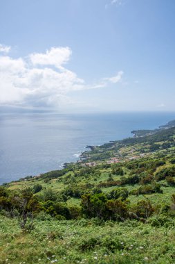 Azores takımadalarında yürüyün. Azores, Sao Jorge adasının keşfi. Portekiz, Velas