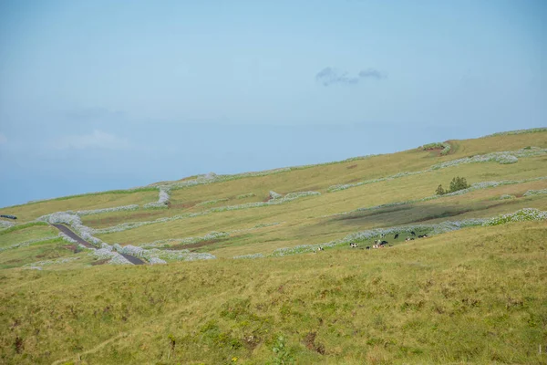 Berjalan Kepulauan Azores Penemuan Pulau Sao Jorge Azores Portugal Velas — Stok Foto