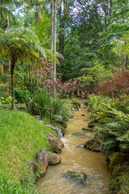 Azores takımadalarında yürüyün. Azores, Sao Miguel adasının keşfi. Portekiz. Fırınlar