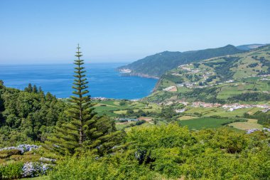 Azores takımadalarında yürüyün. Azores, Sao Miguel adasının keşfi. Portekiz. Fırınlar