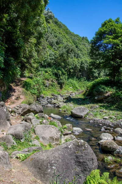 Caminar Por Archipiélago Las Azores Descubrimiento Isla Sao Miguel Azores —  Fotos de Stock