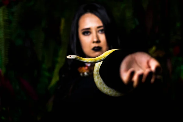 Modelo Japonés Ensayo Con Serpiente Estudio Fotográfico — Foto de Stock