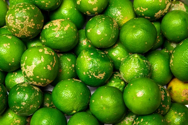 Rangpur Citrus Limonia Citrus Reticulata Medica — Fotografia de Stock