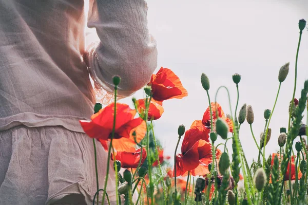 Sommermohnblumenfeld Mit Mädchen Die Von Hinten Stehen Horizontales Bild Freien — Stockfoto