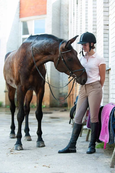 Cavalo Castanha Curioso Engraçado Pedindo Guloseimas Após Treinamento Esportivo Treinador — Fotografia de Stock