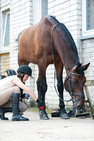 Groomer Amazone Verzorgen Van Kastanje Paard Hoef Afbeelding Van Verticale — Stockfoto