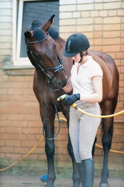 Jovem Bonita Adolescente Equestre Preparando Para Lavar Seu Cavalo Castanho — Fotografia de Stock